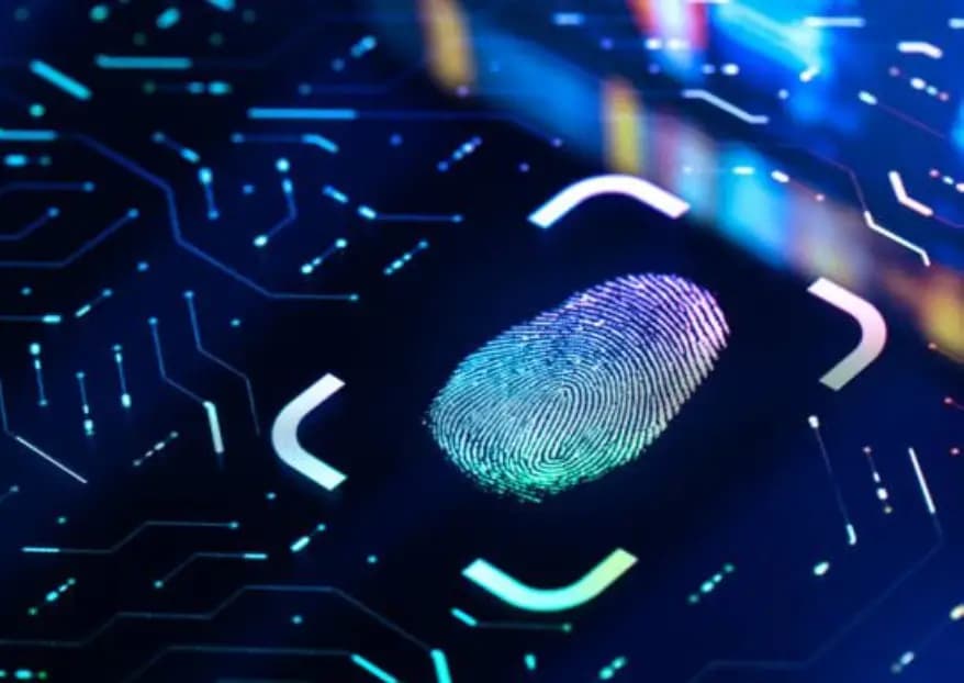 Fingerprinting Near Me: How to Find Reliable and Fast Local Fingerprinting Solutions