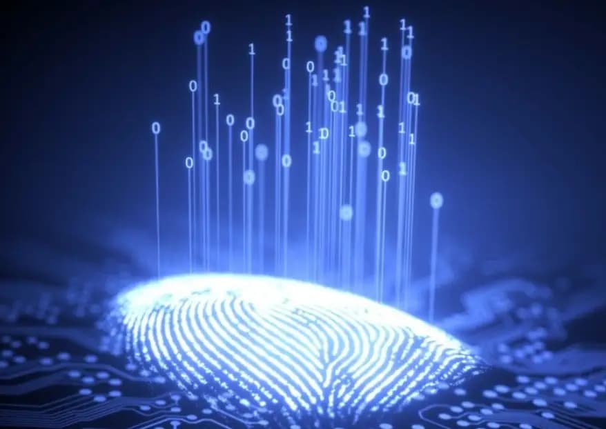 CJIS Fingerprinting Baltimore: FBI and State Fingerprint Processing Explained