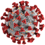 COVID-19 Testing for Coronavirus Immunity